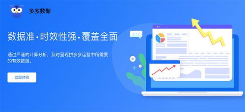 多多數(shù)聚、多多情報(bào)通與多多參謀 江西企業(yè)如何選擇最適合的軟件開發(fā)工具？